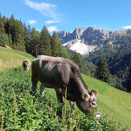 Zimmererhof 布列瑟农 外观 照片